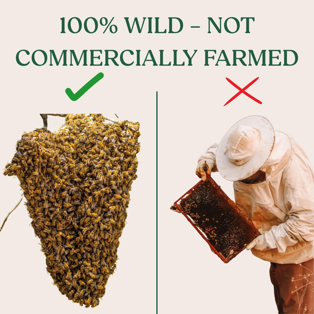 9-in-1 250g & 8-in-1 250g Seed Mix with Sundarban Honey 450g