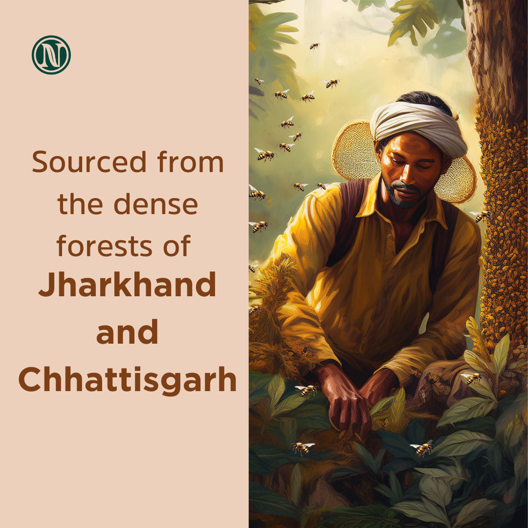 Wild Forest Honey