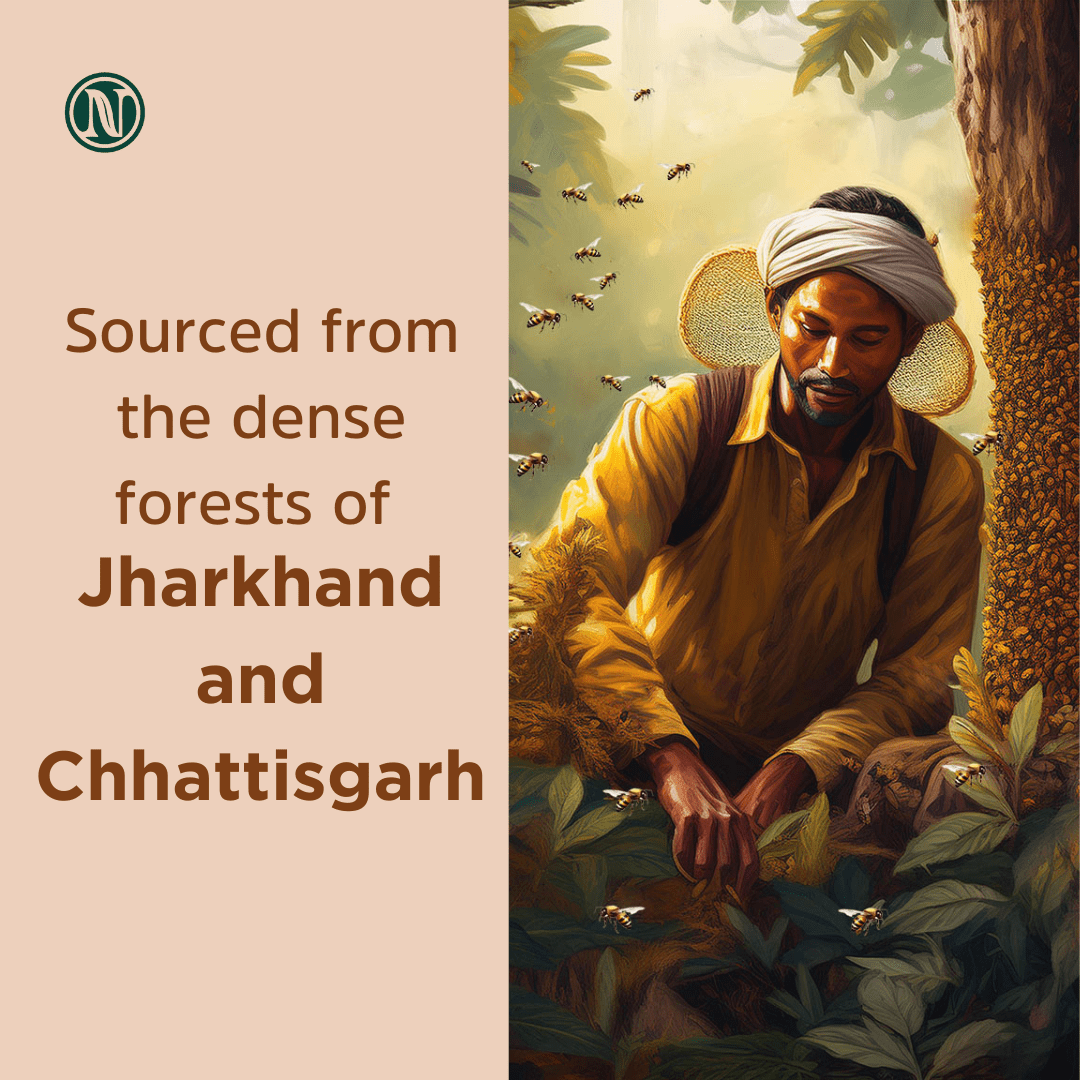 Nutricrate:Wild Forest Honey