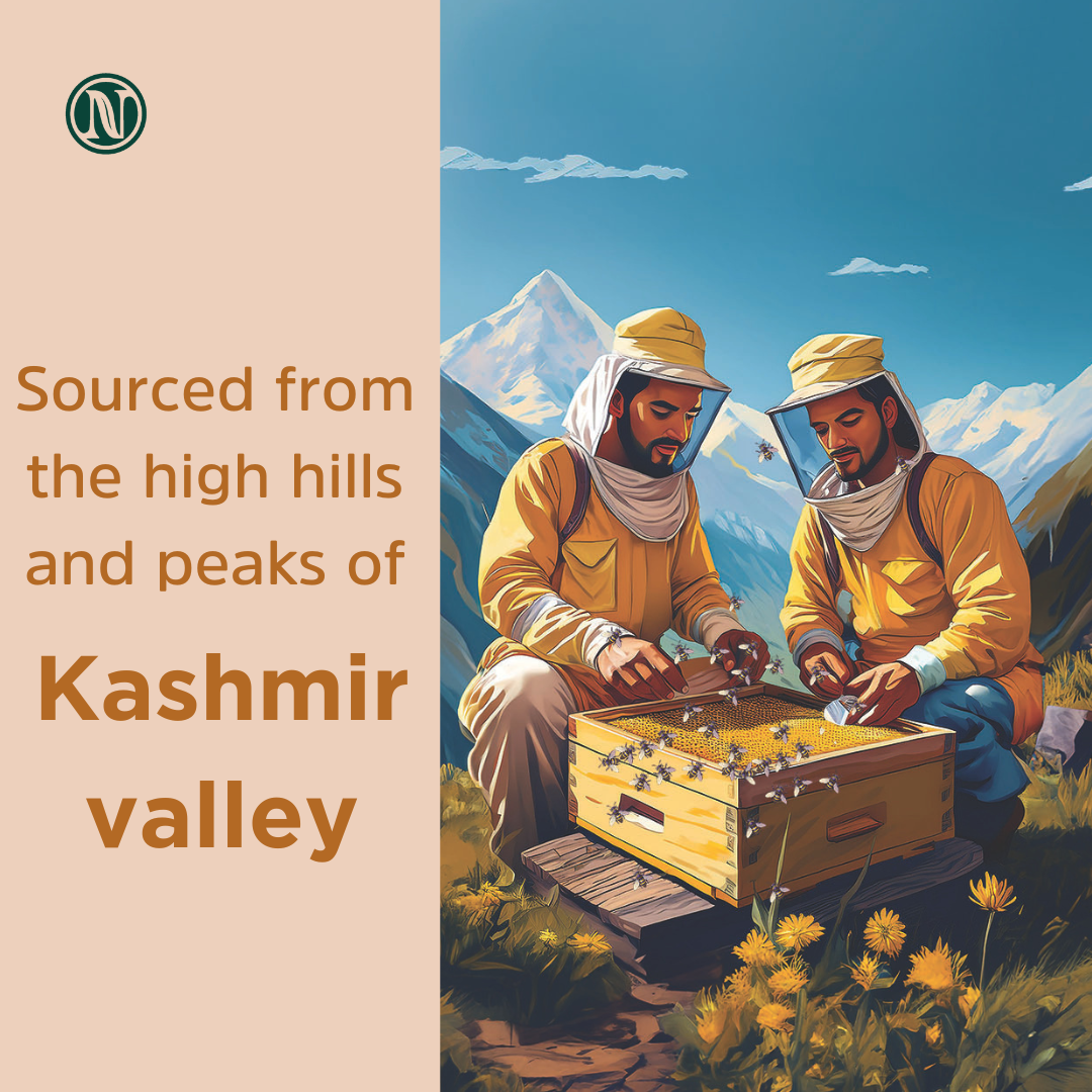 Raw Kashmir Honey