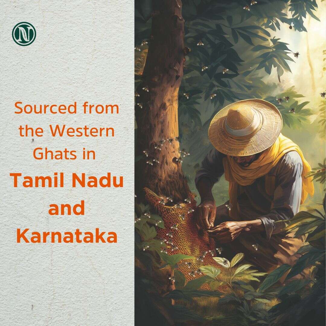 Nutricrate:Tulsi Honey & Smallbee Honey | Super Saver Pack - 250gm