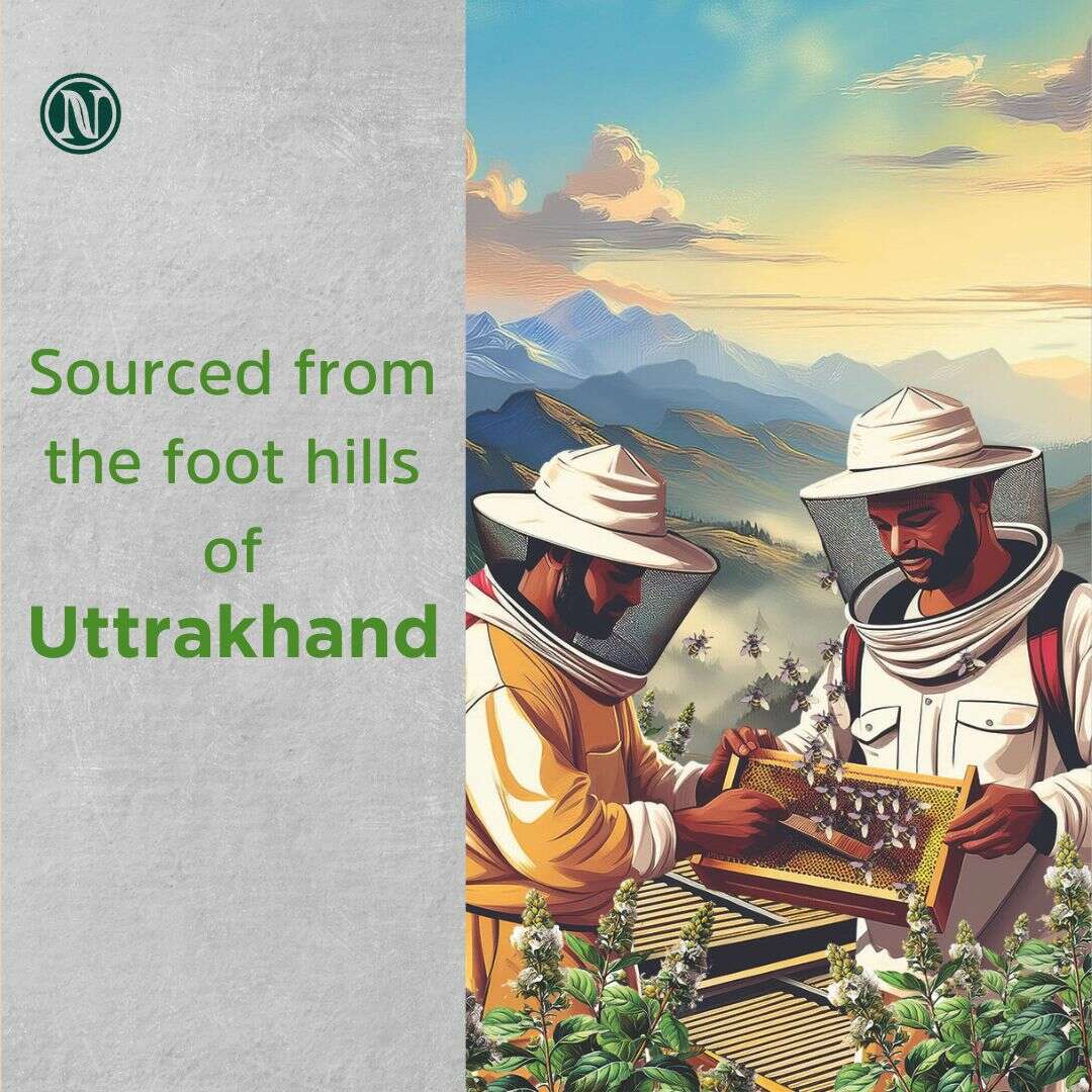 Nutricrate:Tulsi Honey & Smallbee Honey | Super Saver Pack - 250gm