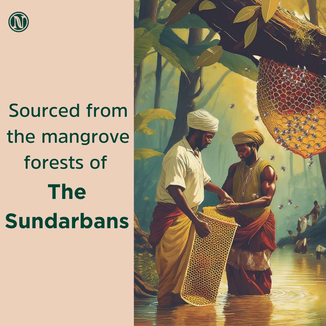 Sundarban Honey