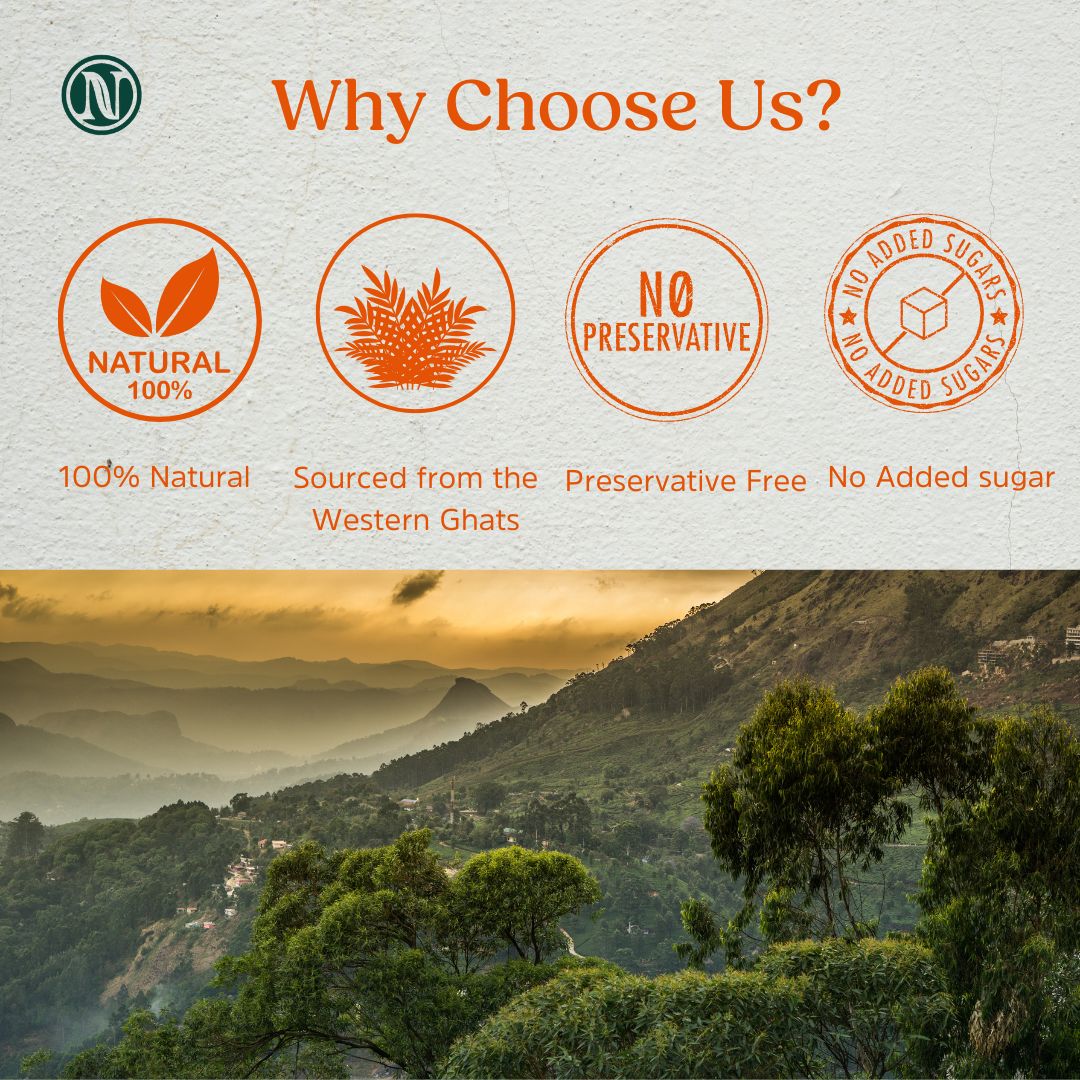 Nutricrate Small Bee Honey-  Pure, Organic and Wild Honey